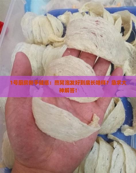 燕窝泡发开是什么样的
