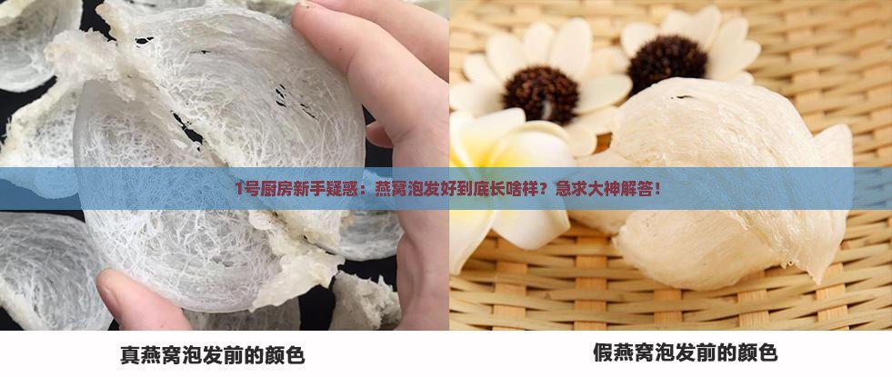 燕窝泡发开是什么样的