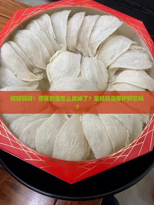 为什么燕窝的蛋会掉下来