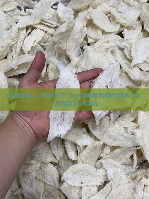 仙人掌果和燕窝果哪个好