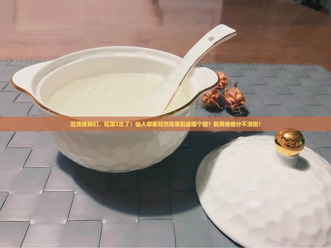 仙人掌果和燕窝果哪个好