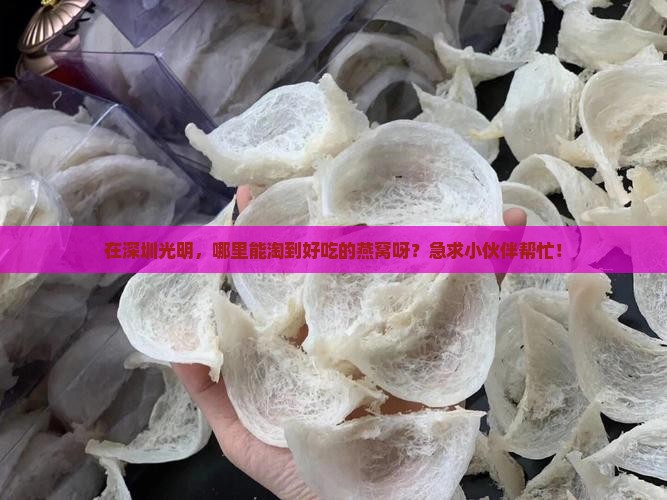 深圳光明哪里有燕窝卖呀