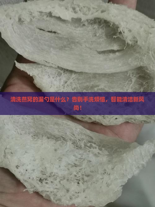 清洗燕窝的漏勺是什么