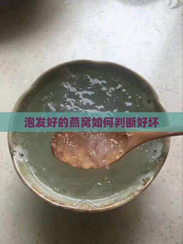 泡发好的燕窝如何看好坏