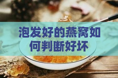 泡发好的燕窝如何看好坏