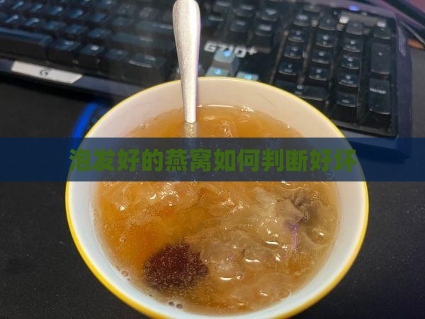 泡发好的燕窝如何看好坏