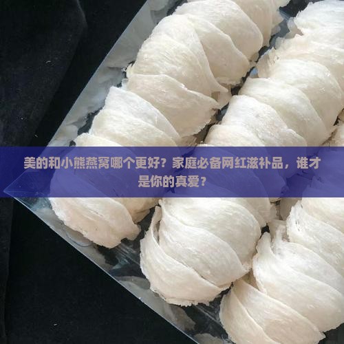 美的和小熊燕窝哪个好 美的和小熊燕窝哪个好