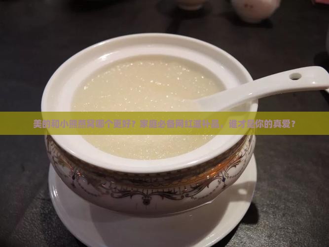 美的和小熊燕窝哪个好 美的和小熊燕窝哪个好