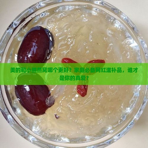 美的和小熊燕窝哪个好 美的和小熊燕窝哪个好
