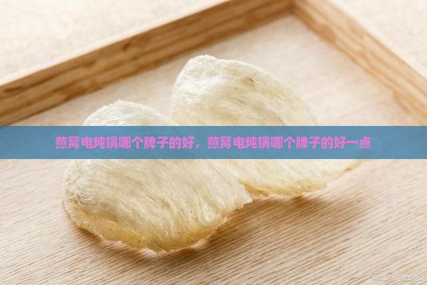 燕窝电炖锅哪个牌子的好