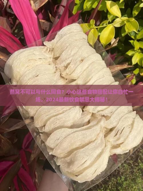 燕窝不可以与什么同食
