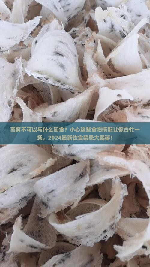 燕窝不可以与什么同食