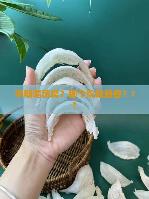 燕窝适合孕期哪个阶段喝