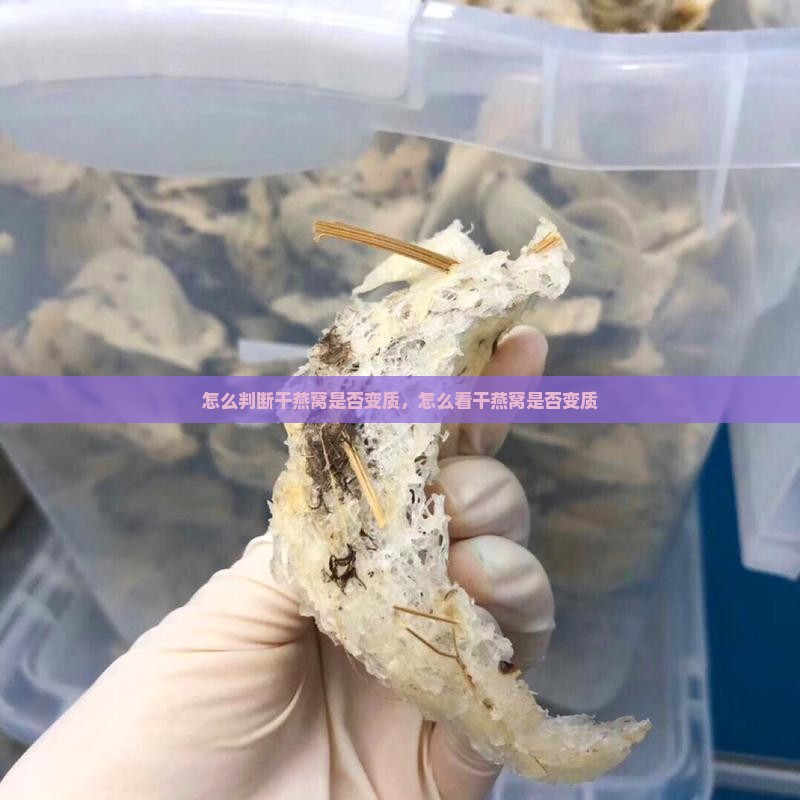 怎么判断干燕窝是否变质