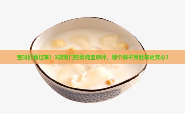燕窝炖盅什么牌子最好用