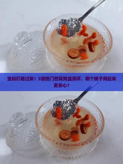 燕窝炖盅什么牌子最好用