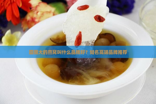 圆圈大的燕窝叫什么品牌