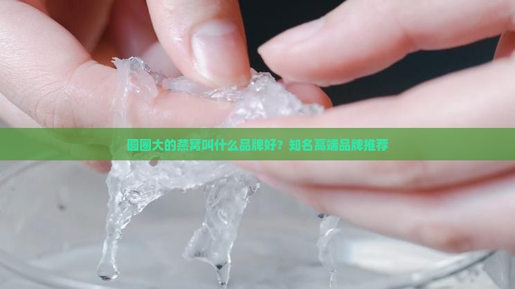 圆圈大的燕窝叫什么品牌