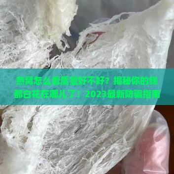 燕窝怎么看质量好不好