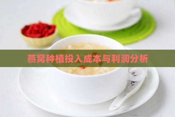 燕窝果利润一般是多少