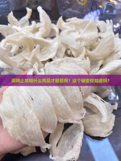 燕窝止咳用什么炖最好呢