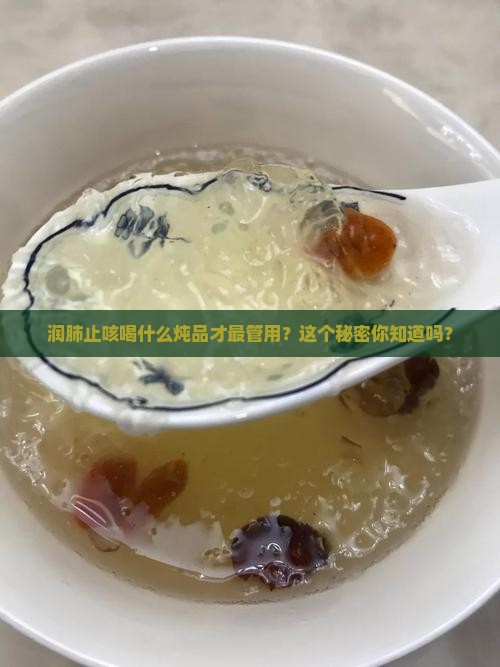 燕窝止咳用什么炖最好呢