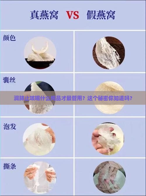 燕窝止咳用什么炖最好呢
