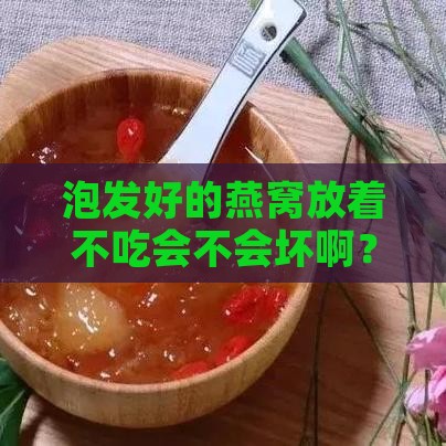 泡发好燕窝能放多久啊
