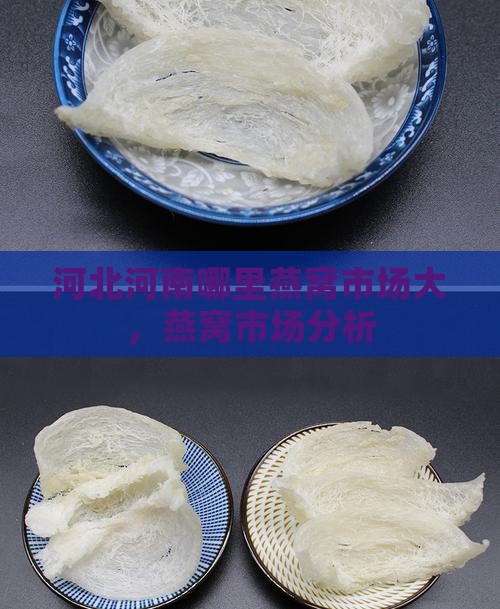 河北河南哪里燕窝市场大