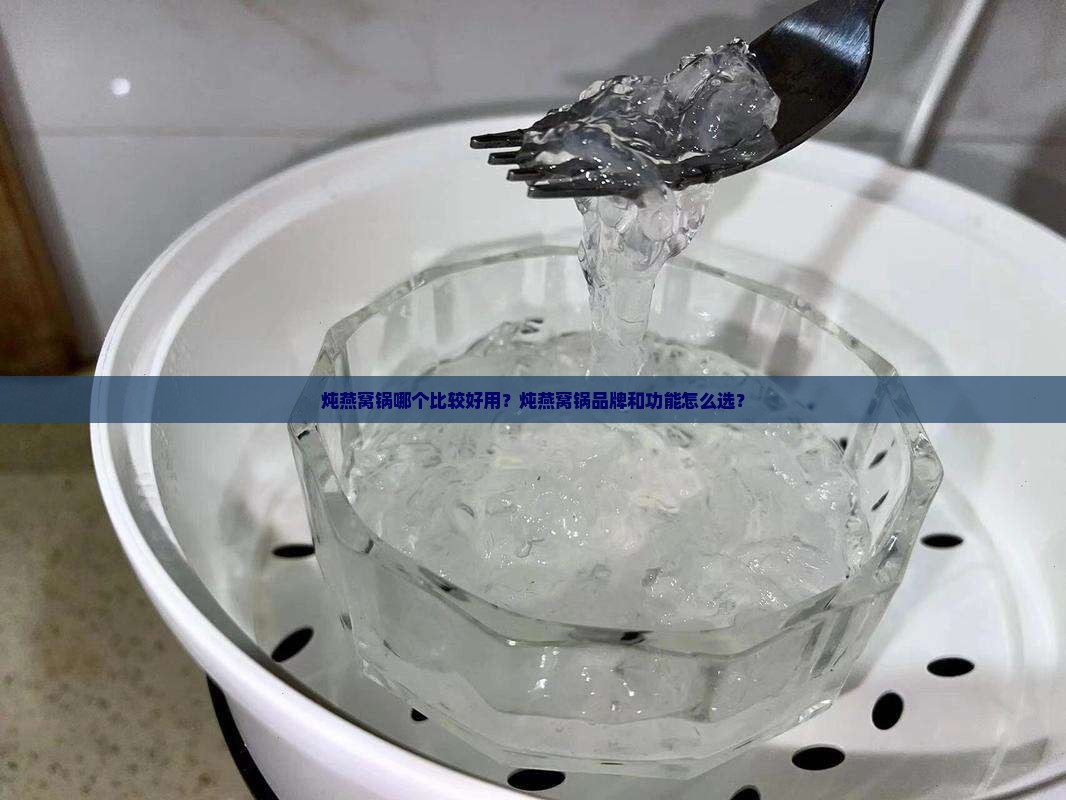 炖燕窝锅哪个比较好用呢