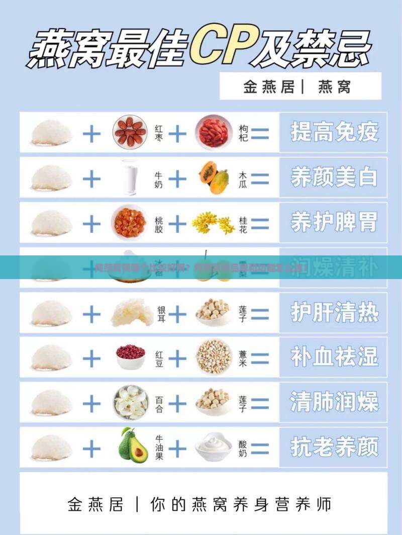 炖燕窝锅哪个比较好用呢