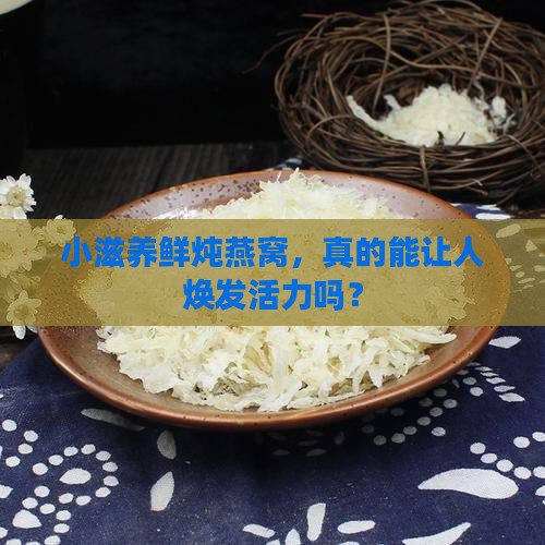 小滋养鲜炖燕窝怎么样啊