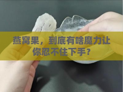 燕窝果的购买理由是什么