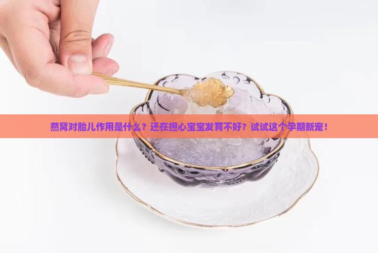 燕窝对胎儿作用是什么