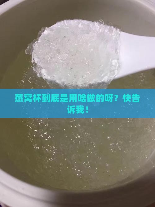 燕窝杯是什么做的材料