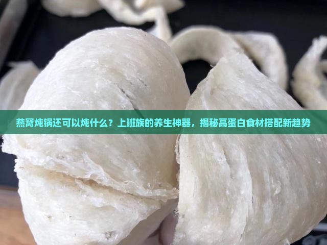 燕窝炖锅还可以炖什么