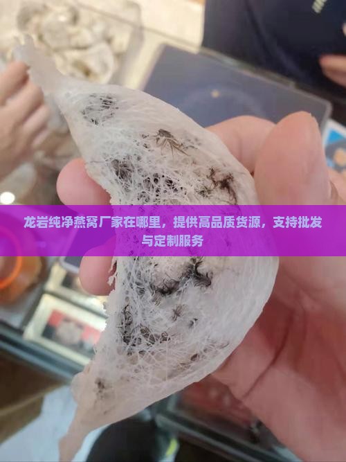 龙岩纯净燕窝厂家在哪里