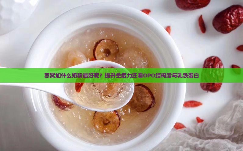 燕窝加什么奶粉最好呢