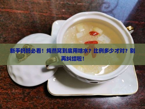燕窝怎么炖用什么水比例