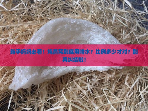 燕窝怎么炖用什么水比例