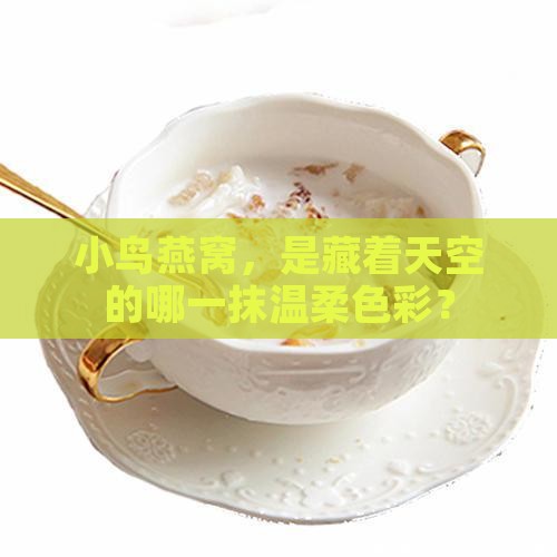 小鸟燕窝是什么颜色的