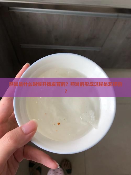 燕窝什么时候开始发育的