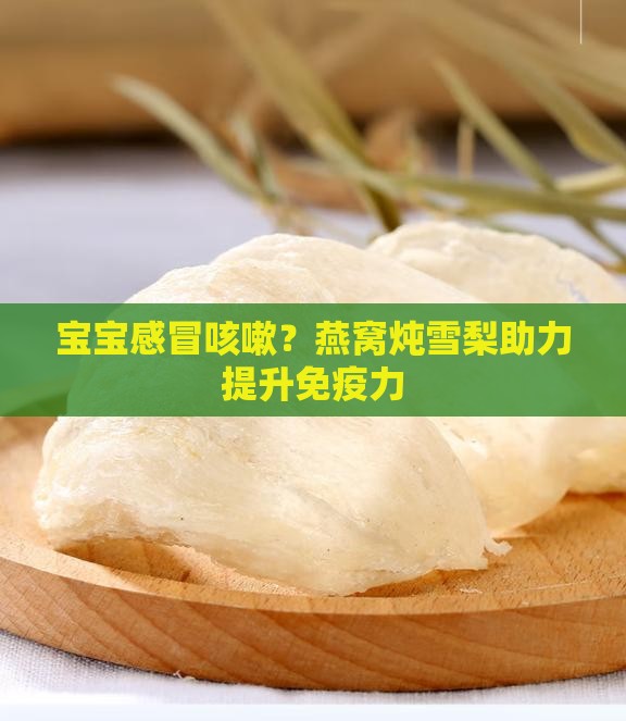宝宝感冒咳嗽燕窝炖什么