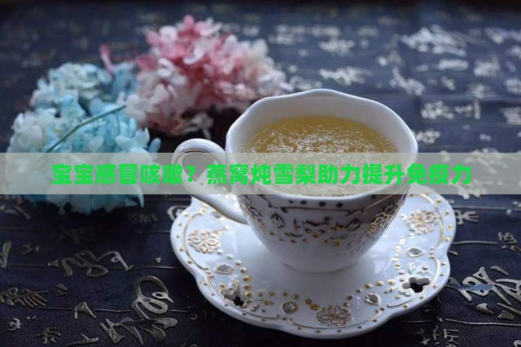 宝宝感冒咳嗽燕窝炖什么