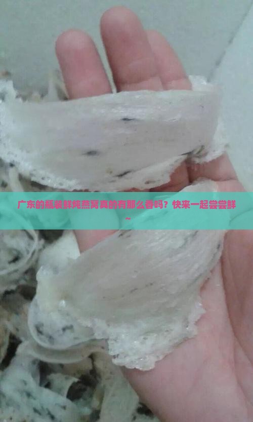 广东瓶装鲜炖燕窝怎么样