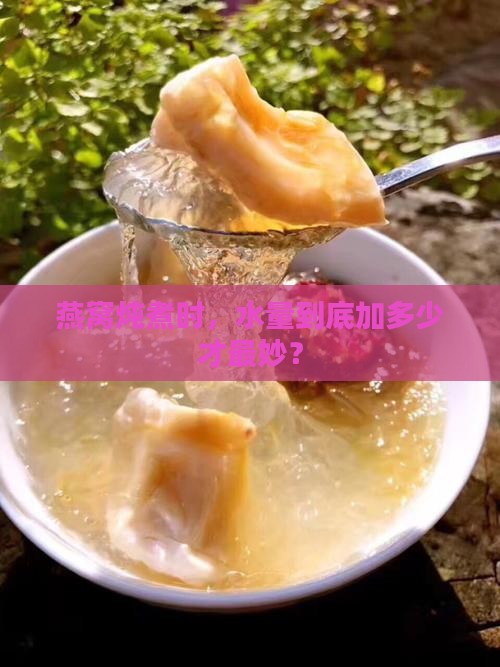 炖燕窝的水量是多少合适