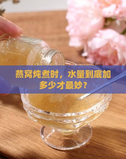炖燕窝的水量是多少合适