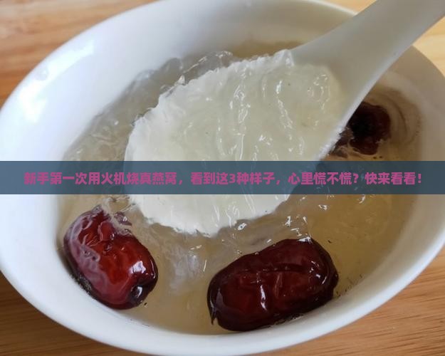 真燕窝火机烧过后什么样