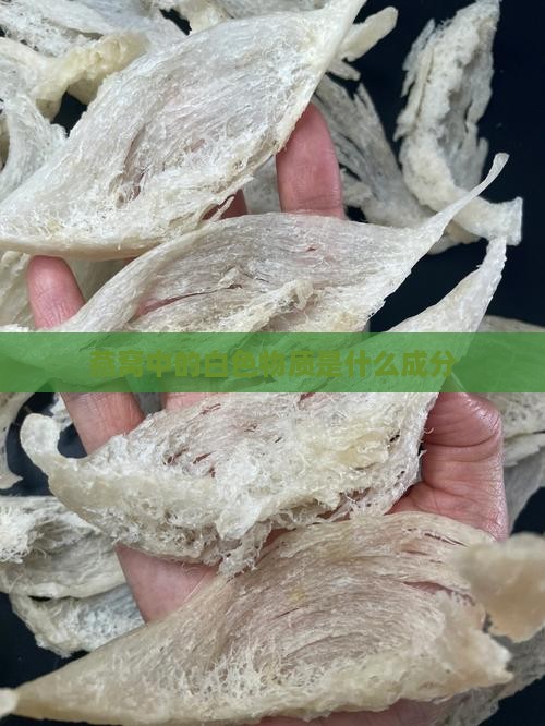 燕窝里面白球是什么成分