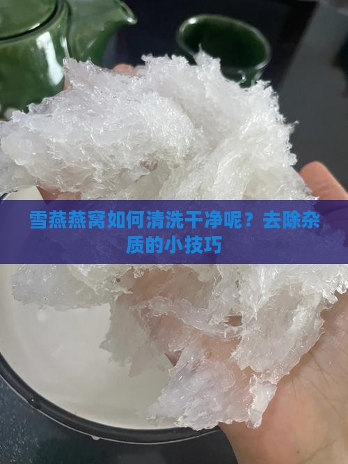 雪燕燕窝如何清洗干净呢